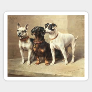 Three Watchful Dogs by Carl Reichert Magnet